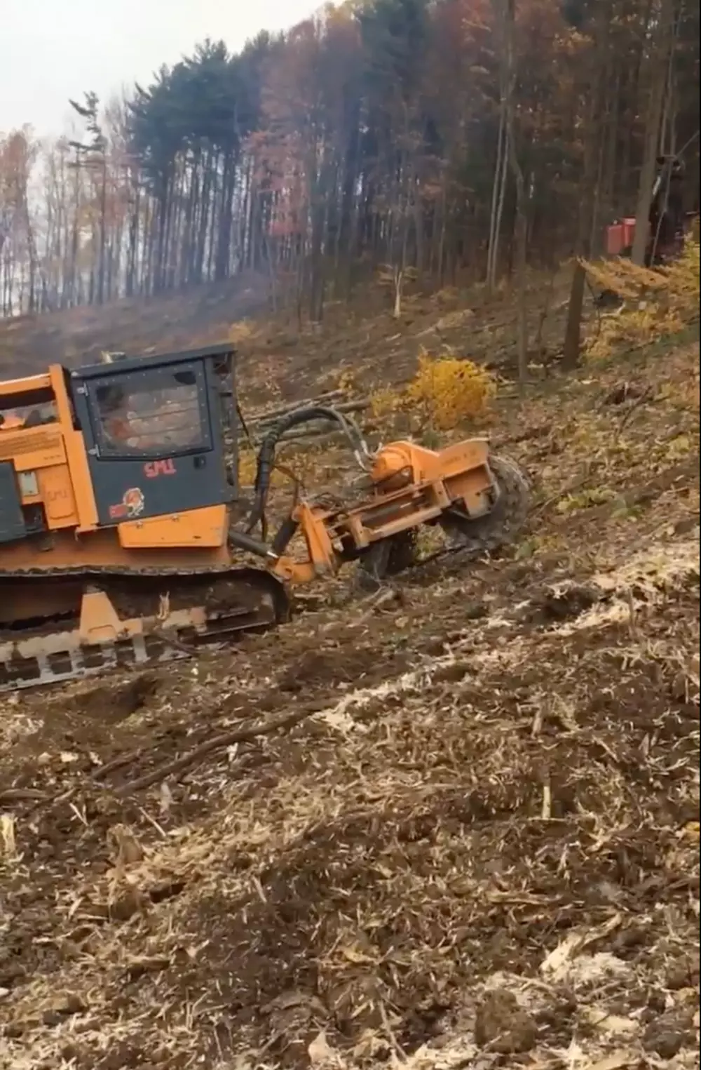 Upscaled image 1 1000px